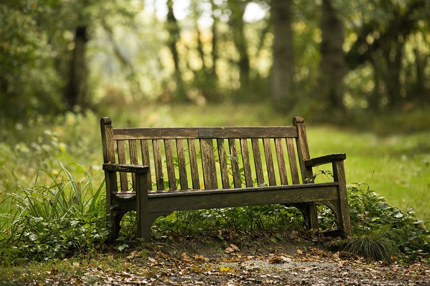 How can I find out if I can have a green burial or funeral home in my area?